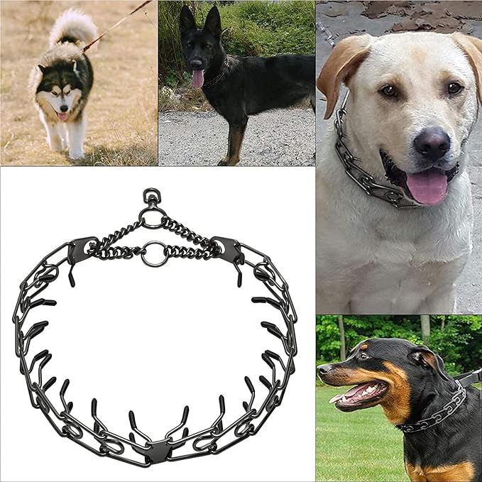 Stainless Steel Prong Pinch Collar for Dogs, Adjustable Training Collar with Quick Release Buckle for Small Medium Large Dogs (Gold, 24")