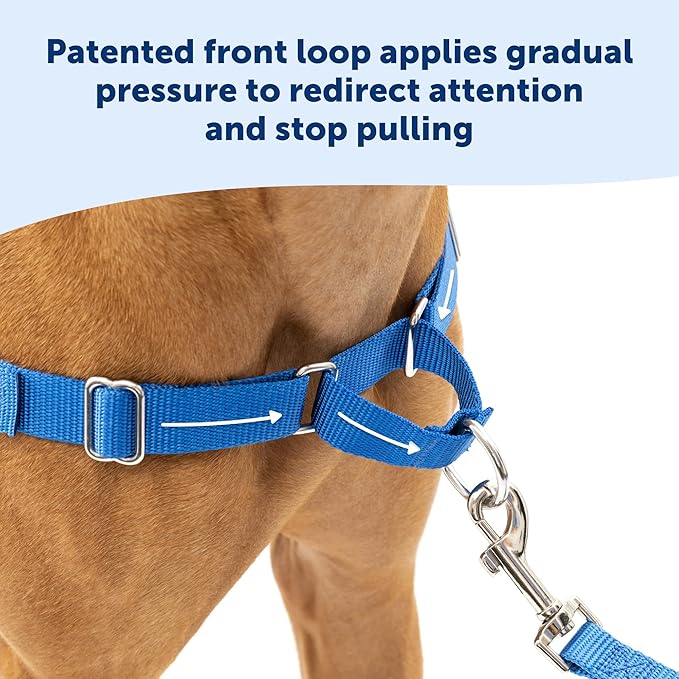 PetSafe Easy Walk Harness for Dogs - Pull-Free Walks - Patented Martingale Loop Design - Front Chest Leash Attachment - Adjustable Comfort Straps - Breathable Harness Design - Medium, Raspberry/Gray