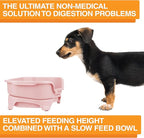 Neater Feeder Express Mess Proof Dog Bowls Elevated for Small Breed – Made in USA – No Spill Raised Slow Feeder Elevated Dog Bowl Stand, Stainless Steel Food and Water Bowl Set, Pink