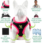 EcoBark Step in Dog Harness - Eco-Friendly Teacup Dog Harnesses for XXS, XS, and Small Dogs - Reflective and Adjustable Mini Body Halter Vest -Tiny Soft Mesh Toy Breed Harness (XXXS, Black and Pink)
