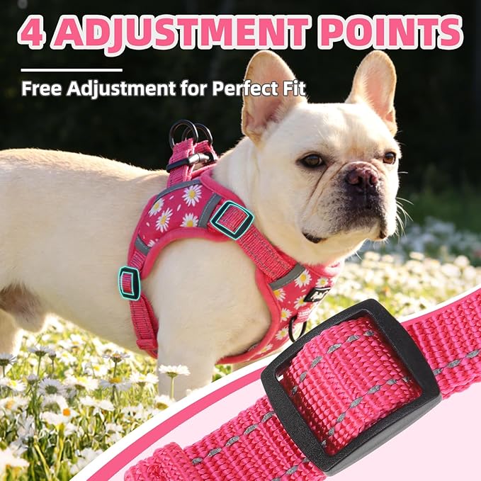 PUPTECK No Pull Dog Harness Small Sized Dog, Adjustable Reflective Escape Proof Easy Control, Comfortable Soft Padded Step in Pet Vest Harness, Fuschia, S