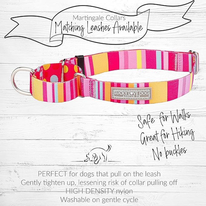 Lucky Love Dog Martingale Dog Collar & Leash - Adjustable, No-Slip, Durable, Comfortable, Soft Webbing, & Stylish Patterned Collar & Leash Set for Male and Female Dogs - Molly Combo, Large
