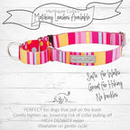 Lucky Love Dog Martingale Dog Collar & Leash - Adjustable, No-Slip, Durable, Comfortable, Soft Webbing, & Stylish Patterned Collar & Leash Set for Male and Female Dogs - Molly Combo, Medium
