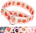 Pink Strawberry Martingale Collar for Dogs, Heavy Duty Adjustable Soft Nylon Dog Collars with for Medium & Large XL Dogs (Pink Strawberry,L)