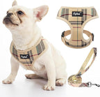 Pupteck Soft Mesh Dog Harness Sized and Leash Set Pet Puppy Cat Comfort Padded Vest No Pull Harnesses, Beige, Medium
