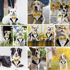 Tuxedo Costume Wedding Bandana Nylon Collar Suit With Gold Bow Tie Adjustable Black Tux Formal Clothes for Small Medium Large Dogs Pet Birthday Christmas Dress Outfits