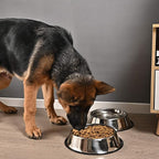 2Packs Stainless Steel Dog Bowl with Anti-Skid Rubber Base for Small/Medium/Large Pet, Perfect Dish, Pets Feeder Bowl and Water Bowl Perfect Choice for Dog Puppy Cat and Kitten (26oz)
