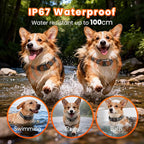 Small Shock Collar for Small Dogs，1300FT Dog Training Collar with Remote，3 Channels - IP67 Waterproof Rechargeable, Beep, Vibration, Safe Shock for Small & Medium Dogs(5-30Lbs，Black)