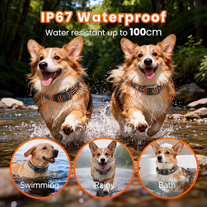 Small Shock Collar for Small Dogs，1300FT Dog Training Collar with Remote，3 Channels - IP67 Waterproof Rechargeable, Beep, Vibration, Safe Shock for Small & Medium Dogs(5-30Lbs，Black)