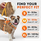 Dog Harness for Medium Dogs Back D-Ring Control No Choking Pressure-Free Chest Design Comfortable Padded Adjustable Reflective Vest Harness for Daily Walks Training Easy Control Outdoor Use Secure Fit