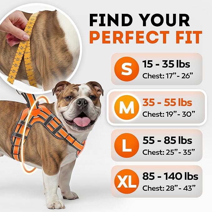 Dog Harness for Medium Dogs Back D-Ring Control No Choking Pressure-Free Chest Design Comfortable Padded Adjustable Reflective Vest Harness for Daily Walks Training Easy Control Outdoor Use Secure Fit