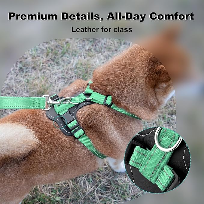 Plutus Pet Adjustable No Pull Dog Harness with Leather Accents, Heavy Duty Reflective Nylon Vest for Training, Hiking, Easy Walk Harness for Small, Medium, Large Dogs (Teal, S)