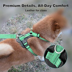 Plutus Pet Adjustable No Pull Dog Harness with Leather Accents, Heavy Duty Reflective Nylon Vest for Training, Hiking, Easy Walk Harness for Small, Medium, Large Dogs (Teal, M)