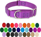 Country Brook Petz - Martingale Dog Collar - Heavy-Duty Training Collar with No Buckle - Service Dog Collar for All Pups - 10+ Cool Colors (Bright Purple, 3/4 Inch, Small)