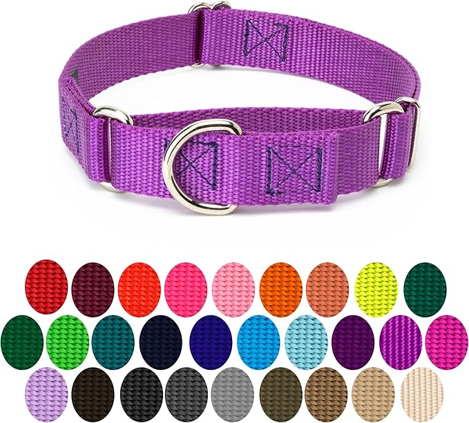 Country Brook Petz - Martingale Dog Collar - Heavy-Duty Training Collar with No Buckle - Service Dog Collar for All Pups - 10+ Cool Colors (Bright Purple, 5/8 Inch, Extra Small)