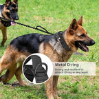 Tactical Dog Collar with Handle - Adjustable Nylon Training Military Dog Collar with Heavy Duty Metal Buckle Collar for Medium Large Dogs,with Patch