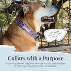 Lucky Love Dog Wide Dog Collar - Adjustable, Durable, Soft Webbing, & Comfortable 1.5 inch Wide Collar for Dogs Male and Female with Strong Buckle - Primrose, X-Large