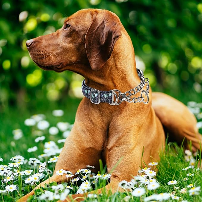 Martingale Dog Collar with Chain,Heavy-Duty Training Collar with No Buckle -No-Pull Dog Collar with Skull Pattern for Medium Large Extra Large and XXL Dogs (Skull L)