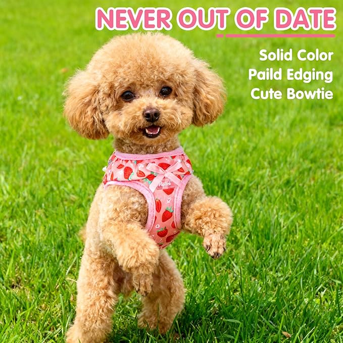 PUPTECK Dog Harness for Puppy and Small Sized Dogs, Step-in No Pull Soft Mesh Vest Harness for Cats Small Pets Walking, Pink Strawberry, New XXS