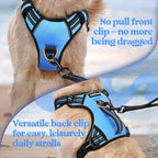 rabbitgoo Dog Harness for Large Dogs, No Pull Pet Harness with Soft Padded Handle, Adjustable Reflective Vest with 3 Buckles, Easy Walking Harness with 2 Leash Clips, Light Blue, L