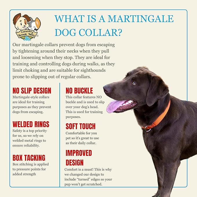 Country Brook Petz - Martingale Dog Collar - Heavy-Duty Training Collar with No Buckle - Service Dog Collar for All Pups - 10+ Warm Colors (Orange, 1 Inch, Large)