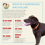 Country Brook Petz - Martingale Dog Collar - Heavy-Duty Training Collar with No Buckle - Service Dog Collar for All Pups - 10+ Warm Colors (Orange, 3/8 Inch, 3XS)