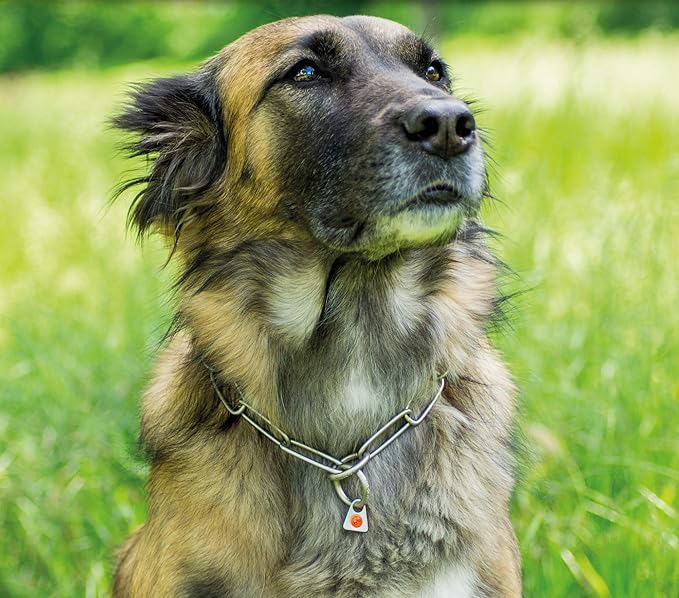 Herm Sprenger - Matte Stainless Steel Scratch Resistant Long Link Fur Saver Dog Collar - Professional Training Collar - Made in Germany (22 in (57 cm) x 3 mm)