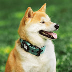 Tuff Pupper Heavy Duty Tactical Dog Collar | 1.5" Wide Ballistic Nylon | Reflective Stitching | Integrated ID Tag Holder | Stainless Steel Buckle | Padded Lining | Medium & Large Dogs (Green, Medium)