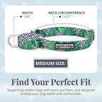 Lucky Love Dog Martingale Collar, Premium No Slip Martingale Collar for Medium Boy Dogs, Great for Whippets, Greyhounds, and More (Medium, Blue Laguna)