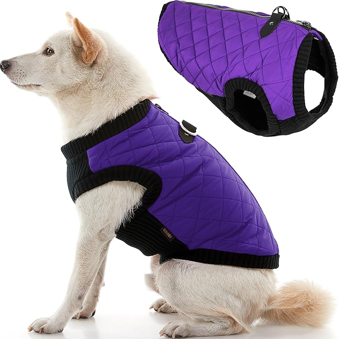 Gooby Fashion Vest Dog Jacket - Violet, Large - Warm Zip Up Dog Bomber Vest with Dual D Ring Leash Water Resistant for Small to Medium Dogs
