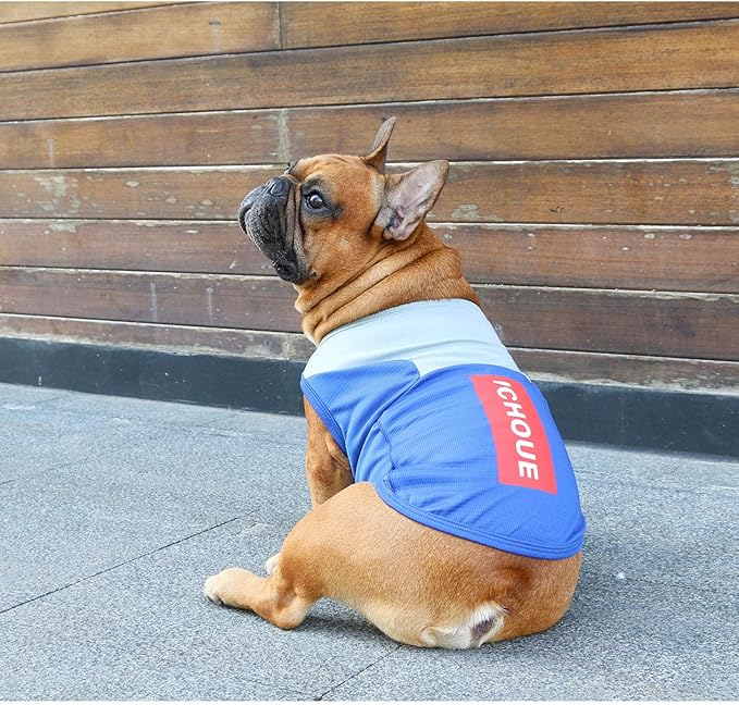 iChoue 2pcs French Bulldog Summer Cooling Shirt for Dogs UV Sun Protection Vest Sleeveless Breathable Tank Top English Pug Black Blue Grey - Medium