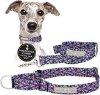 Lucky Love Dog Martingale Dog Collar & Leash - Adjustable, No-Slip, Durable, Comfortable, Soft Webbing, & Stylish Patterned Collar & Leash Set for Male and Female Dogs - Primrose Combo, Medium