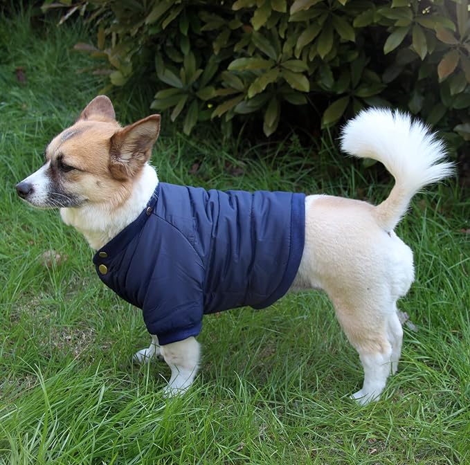Fleece Lined Dog Coat with Detachable Hood and Detachable Hind Legs,Warm Puppy Jacket in Winter(Blue L)