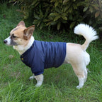 Fleece Lined Dog Coat with Detachable Hood and Detachable Hind Legs,Warm Puppy Jacket in Winter(Blue L)