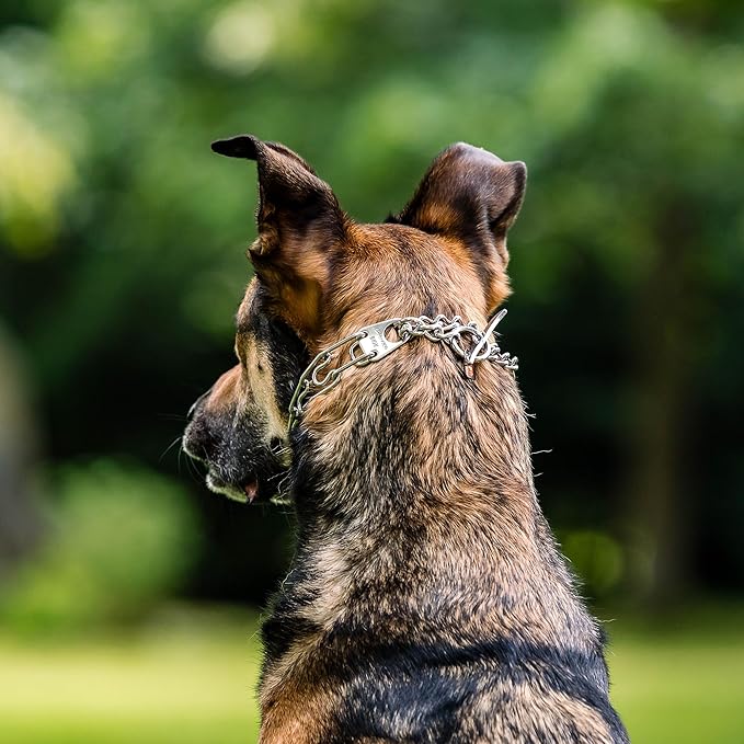 Herm. Sprenger Ultra-Plus Prong Dog Training Collar, Anti Pull Training Pinch Collar, (Stainless Steel, 3.0 mm Short Links x 18" Neck Size; 19-20" Chain Length) - Toggle Version