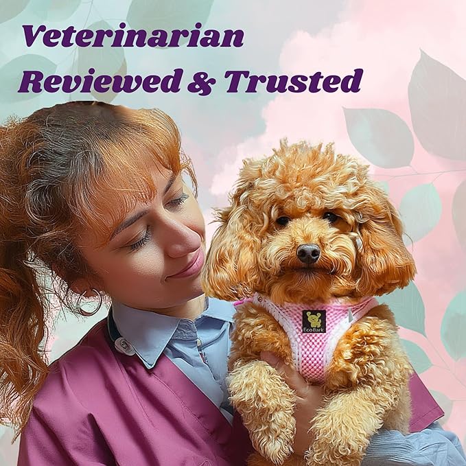 EcoBark Step in Dog Harness Reflective Soft Ultra Padded Mesh Dog Harnesses for XXS, XS, Small, and Medium Dogs Eco-Friendly Comfort Secure Halter No Pull Adjustable Pet Vest