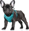 BARKBAY No Pull Dog Harness Large Reflective Dog Harness with Front Clip and Easy Control Handle for Walking Training Running with ID tag Pocket(Ocean Blue,S)