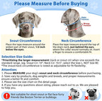 BARKLESS No Pull Dog Head Collar for Gentle Training Walking, Soft Padded Head Halter with Collar Safety Clip, Comfortable Fit Muzzle Leash with Reflective Strap for Medium Large Dog (Grey, M)