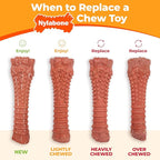 Nylabone Original Bone Power Chew Toy for Dogs, Durable & Tough Dog Toys for Aggressive Chewers, Chicken Flavor, Medium - Up to 35 lbs, 1 Count
