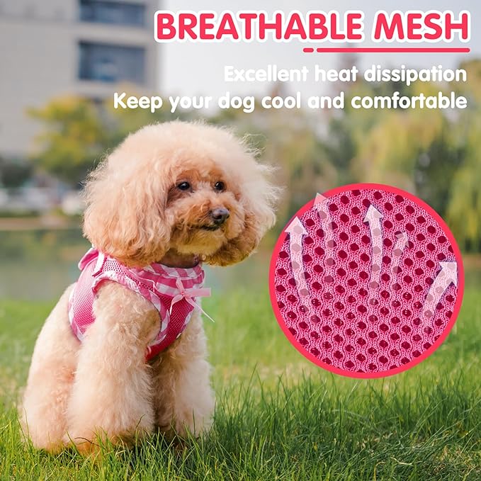 PUPTECK Dog Harness for Puppy and Small Sized Dogs, Step-in No Pull Soft Mesh Vest Harness for Cats Small Pets Walking, Fuschia, New XXS