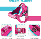 AUROTH Dog Harness and Leash Set, Soft Padded Service Dog Vest with 5.25FT Dog Leash, No Choke, Easy On Pet Vest, Adjustable Reflective No Pull Dog Harness Small Sized Dog, Easy Walking and Training