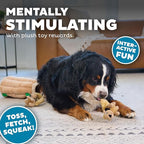 Outward Hound Hide-A-Squirrel Dog Toy – Interactive 2‑in‑1 Plush Puzzle with 6 Squeaky Removable Squirrels, X-Large