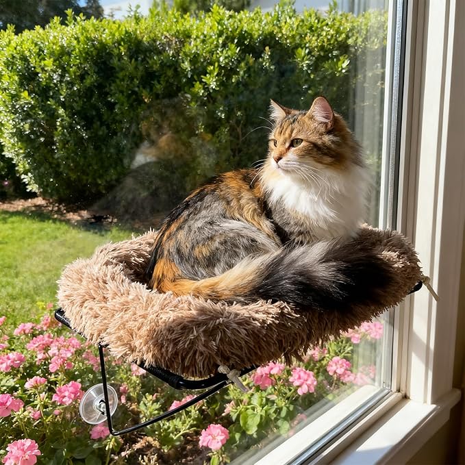 Cat Window Perch, Cordless Cat Hammock Window Seat with Sturdy Metal Frame Supports and 4 Strong Suction Cups (Brown, Long Hair)