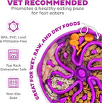 Outward Hound Fun Feeder Slo Bowl – Large 4‑Cup Capacity, Slow Feeding, Medium to Large Dogs, Non‑Slip, Purple, Flower Pattern