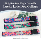 Lucky Love Dog Martingale Dog Collar - Adjustable, No-Slip, Durable, & Soft Webbing Collar for Male and Female Dogs Ideal for Training & Walking - Rosie, Medium