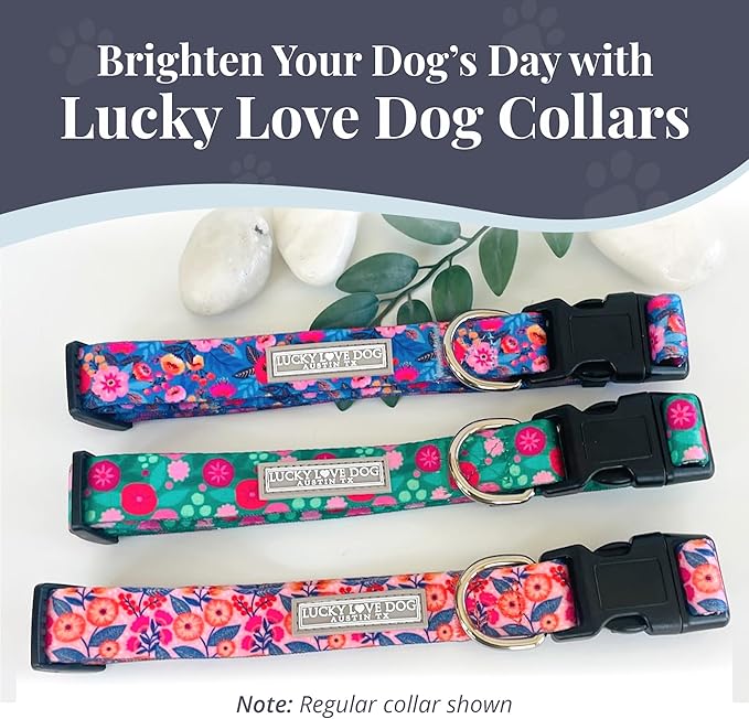 Lucky Love Dog Martingale Dog Collar - Adjustable, No-Slip, Durable, & Soft Webbing Collar for Male and Female Dogs Ideal for Training & Walking - Rosie, Medium