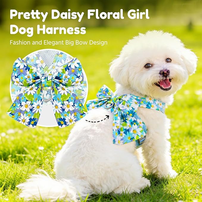 BAEJMJK Dog Harness and Leash Set with Bow Knot No Pull Pet Daisy Floral Harness with D-Ring Soft Mesh Dog Harness Vest Set Escape Proof Princess Puppy Harness for Small Girl Dogs Cats（Blue A M）