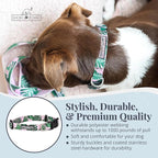 Lucky Love Dog - Adjustable Dog Collar with Easy Click Buckle for Large Ones, Durable, & Comfortable for Male & Female Dogs, Pet Collar for Puppies & Adult Dogs - Laguna, Large
