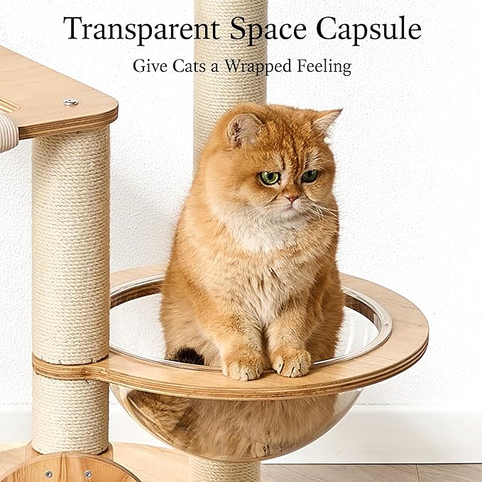 797Audio Modern Wood Cat Tree Tower, 49" Cat Tree with Sisal Scratching Posts, Capsule, Hammock and Scratch Pad for Indoor Cats, Solid Rubber Wooden Cat Tree, Multi-Level Tree for Large Adult Cat