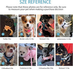 Dog Harness for Small Dogs and Leash Set, Honeycomb Grid, Reflective Lightweight Harness & Anti-Twist Pet Lead (Multi Color, Size: XS-S-M) (M, Blue)
